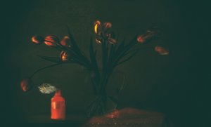  作： Delphine Devos