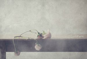  作： Delphine Devos