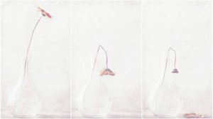  作： Delphine Devos
