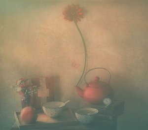  作： Delphine Devos
