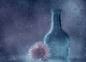 夢のような雨のガーベラ 作： Delphine Devos