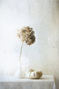  作： 