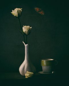  作： Delphine Devos