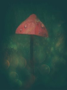  作： Delphine Devos