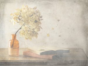  作： Delphine Devos