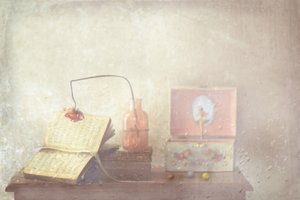  作： Delphine Devos