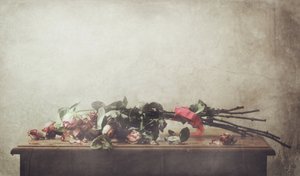  作： Delphine Devos