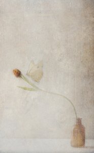  作： 