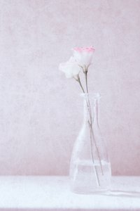  作： 
