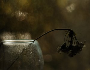  作： Delphine Devos