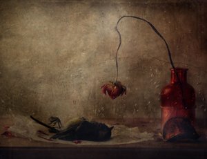  作： Delphine Devos