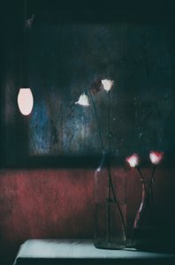  作： Delphine Devos