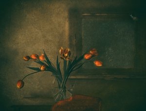  作： Delphine Devos