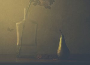  作： Delphine Devos