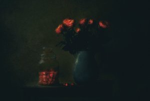  作： Delphine Devos