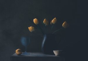  作： Delphine Devos