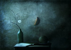  作： Delphine Devos