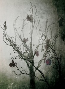 謎めいた「時の木」 作： Delphine Devos