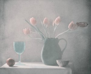  作： Delphine Devos