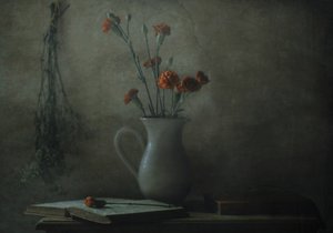  作： Delphine Devos