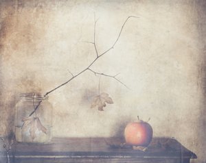  作： Delphine Devos