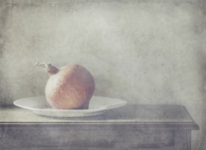  作： Delphine Devos