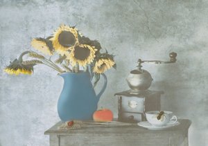  作： Delphine Devos