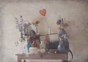  作： Delphine Devos