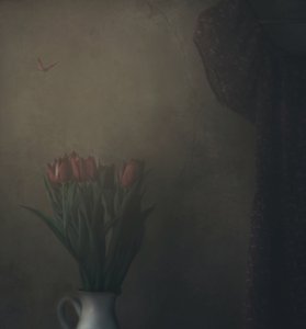  作： Delphine Devos