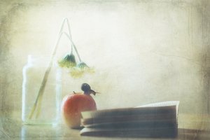  作： Delphine Devos