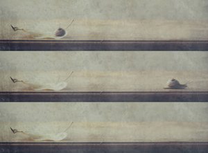  作： Delphine Devos