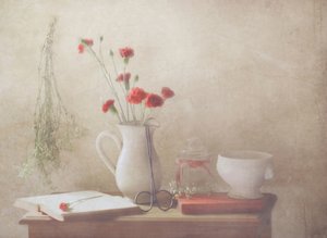  作： Delphine Devos