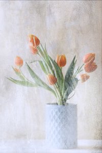  作： 