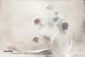  作： Delphine Devos