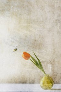  作： 