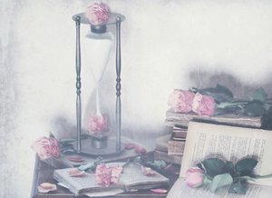  作： Delphine Devos