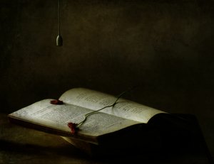  作： Delphine Devos