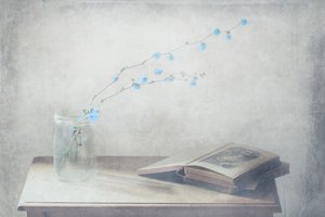  作： Delphine Devos