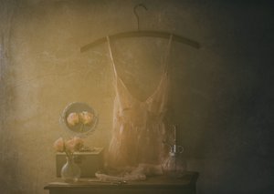  作： Delphine Devos