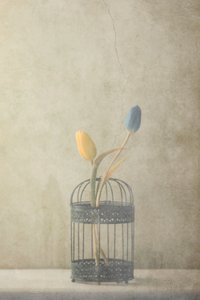  作： 