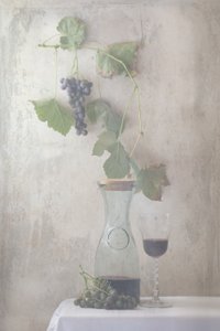 ヴィンテージのブドウとワインの静物画 作： Delphine Devos