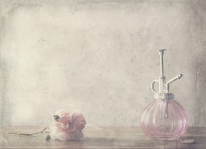  作： Delphine Devos