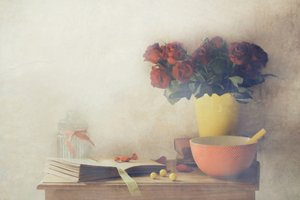 作： Delphine Devos