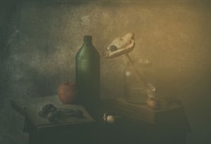  作： Delphine Devos