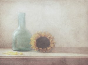  作： Delphine Devos
