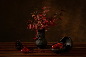 暗い秋の静物画
