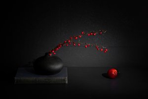 赤いベリーと黒い花瓶の静物画 作： Dennis Zhang