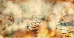 作： 