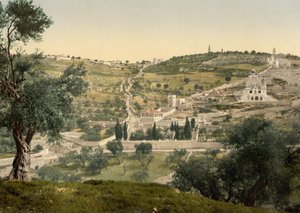 オリーブ山とゲッセマネ、全体図、エルサレム、1890～1900年頃（フォトクロムプリント） 作： Detroit Photographic Co.
