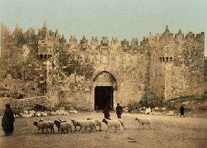 ダマスカス門、エルサレム、聖地、1890～1900年頃（フォトクロムプリント）